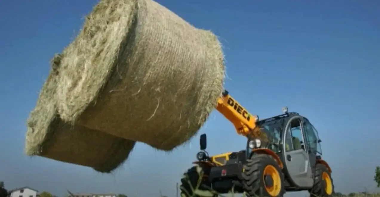 Maszyna z chywtakiem do bel Dieci Korbanek