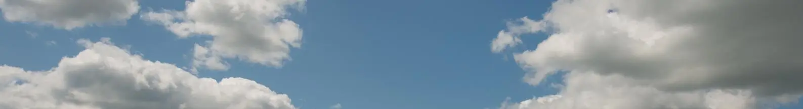 Baner słoneczniki strona Dieci Korbanek