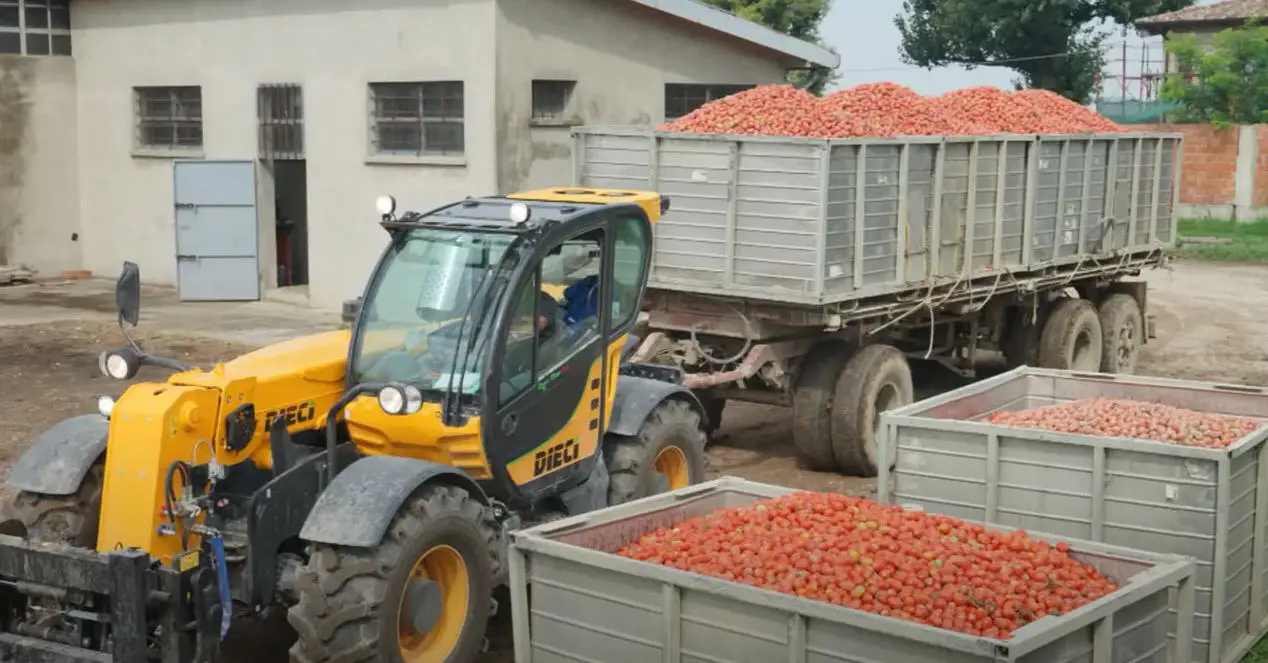Dieci z przyczepą ładowarka jabłka transport